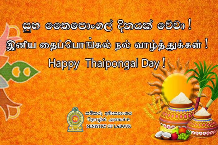 theipongal-day